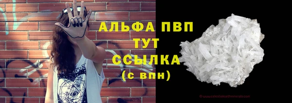 spice Новозыбков