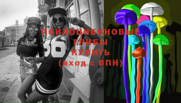 spice Новозыбков