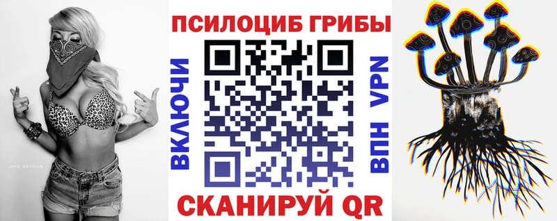 Галлюциногенные грибы мицелий  как найти наркотики  Кашира 