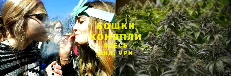 наркота  сайты даркнета состав  Бошки марихуана Ganja  Кашира 